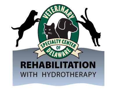 Luminal Rehab CenterForest Dale VT